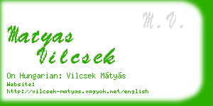 matyas vilcsek business card